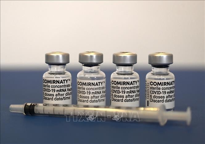 越南卫生部批准辉瑞拜恩泰科疫苗