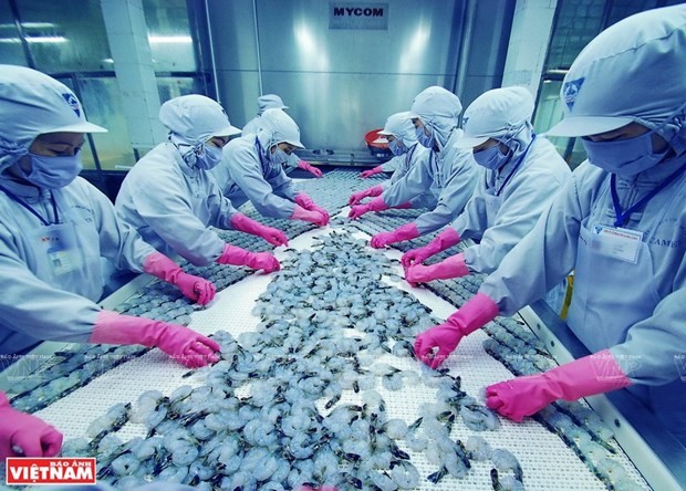 着力纾解困难 力争实现全年虾类产品出口额达逾40亿美元