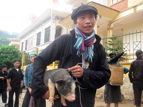 莱州省少数民族颇具特色的“腋夹”猪集市