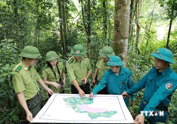 越南批准 2021-2025 年林业可持续发展计划