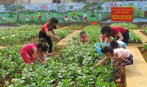 Hiệu quả mô hình vườn rau sạch cho trẻ mầm non ở Ninh Bình