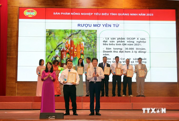 Rượu mơ Yên Tử là 1 trong 35 sản phẩm được tôn vinh là sản phẩm tiêu biểu của tỉnh Quảng Ninh năm 2023. Ảnh: TTXVN