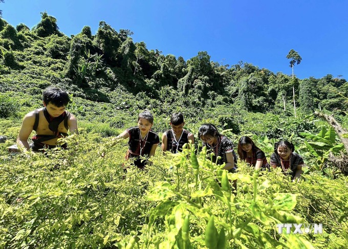 vna_potal_quang_nam_le_hoi_ot_a_rieu_lan_thu_i_-_nam_2024_7538810.jpg