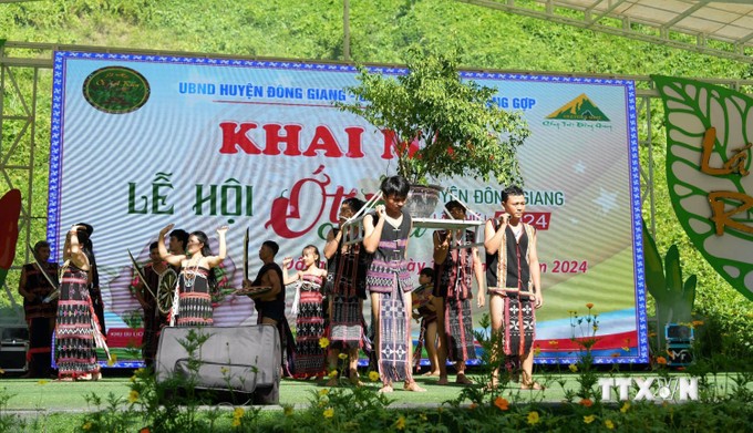 vna_potal_quang_nam_le_hoi_ot_a_rieu_lan_thu_i_-_nam_2024_7538812.jpg