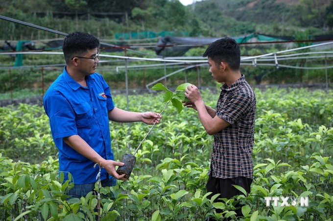 vna_potal_chang_trai_xu_muong_lam_giau_tren_manh_dat_que_huong_7335051.jpg